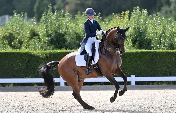 paard_dressuur_bedaf_700_450